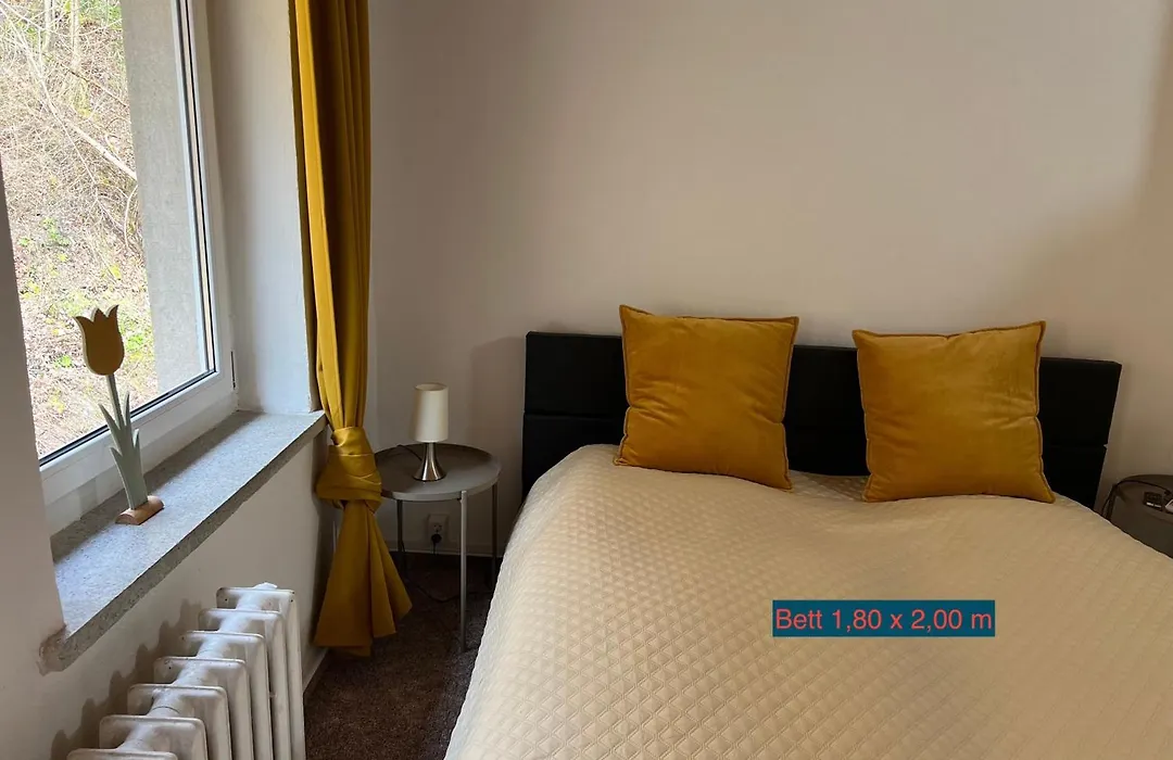 Pension Sternschnuppe, Treseburg Harz, unmittelbar am Wasser-1