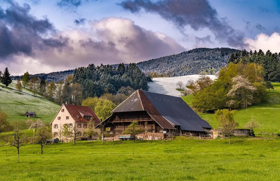 Ferien im Tannenhof, Wohnung 1, Todtnauberg, Feldberg-1