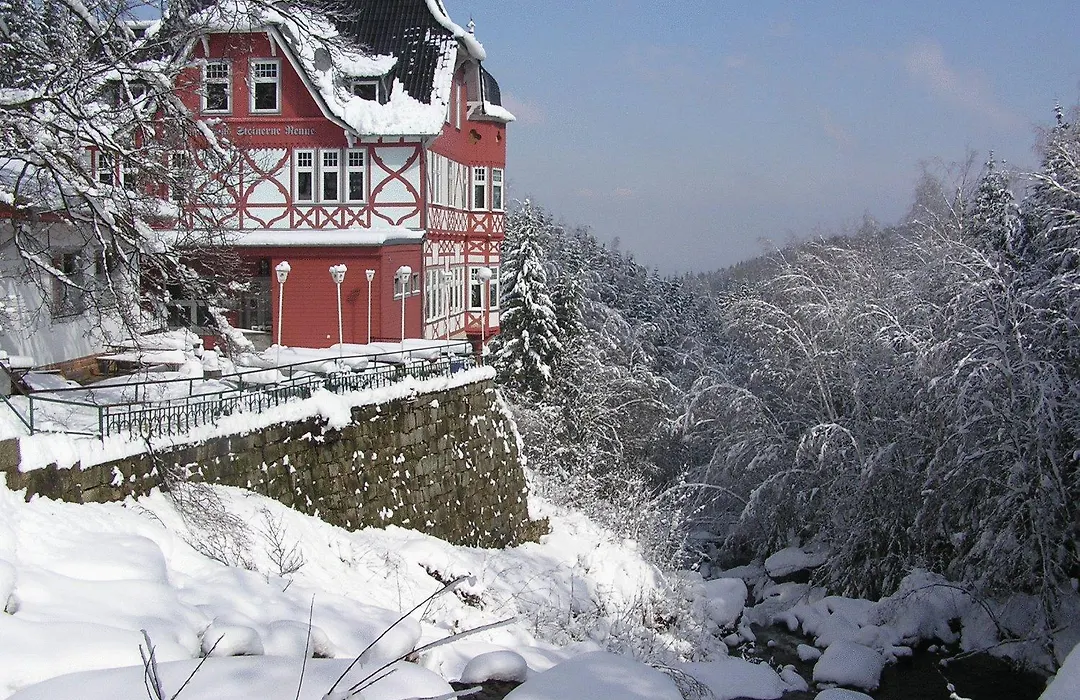 Hotel Steinerne Renne Garni-1