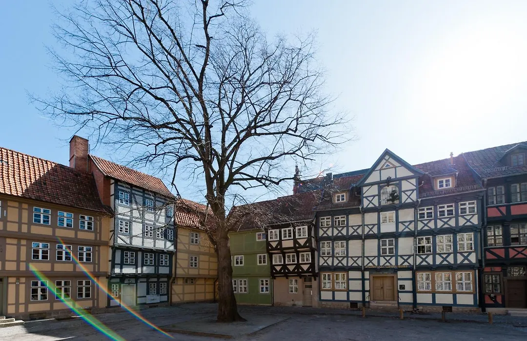 Schlaf-Gut Appartments-1