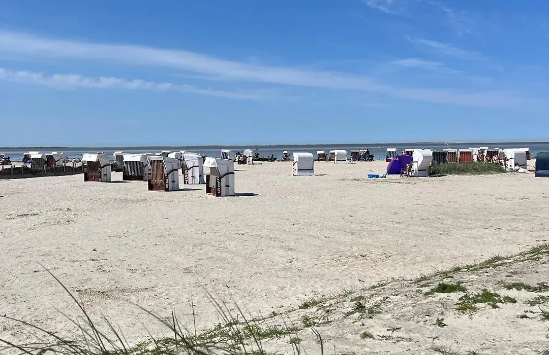 Nurdachhäuschen Blaue Nordseewelle-1
