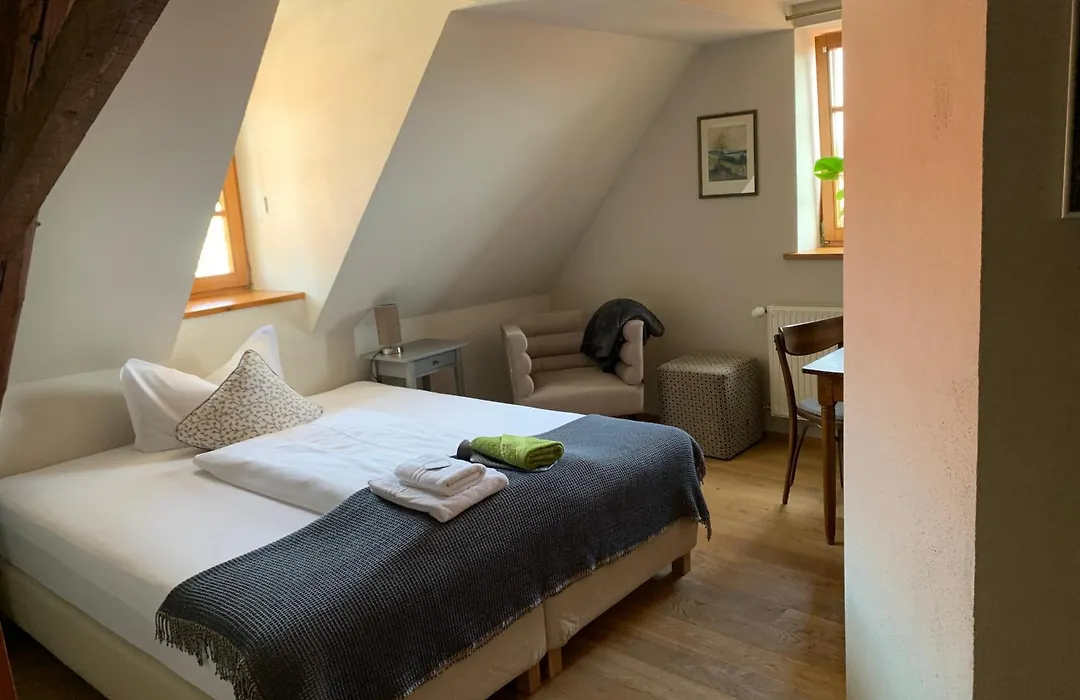 Hotel Das Frankenberger-1