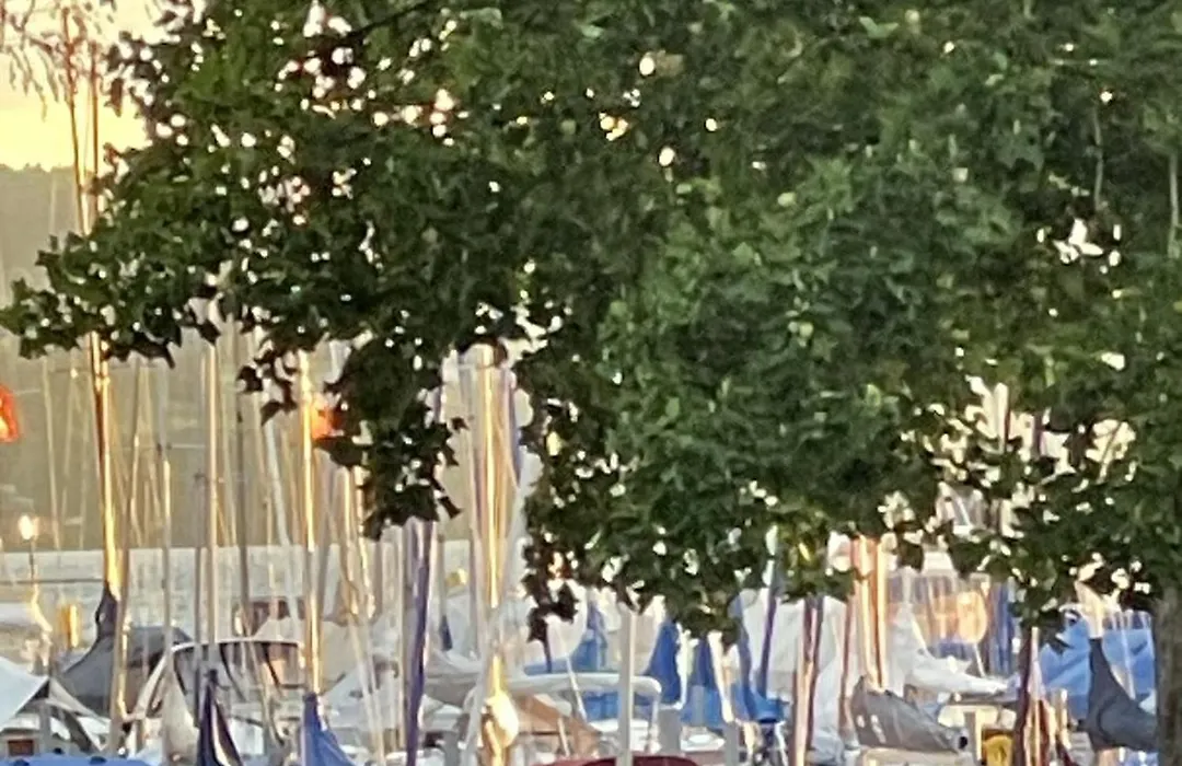 Gästehaus Mäder Am Hafen-1