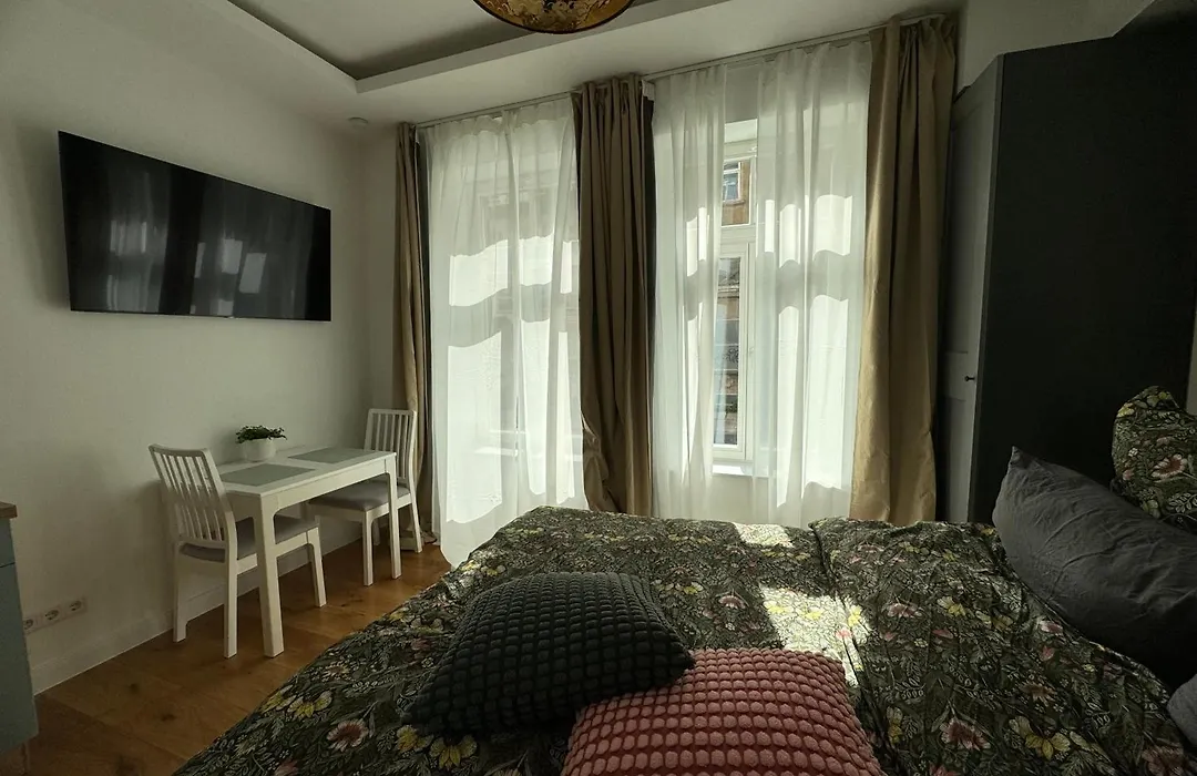 Boutique Hotel Pension Luisengrün Küche 1Gbs WLAN Netflix Disney MagentaTV-1
