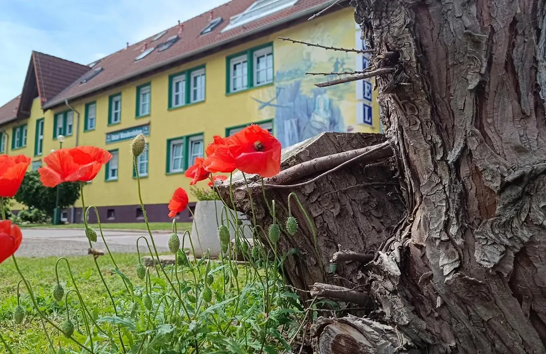 Hotel Wandersleben - Erfurt-1