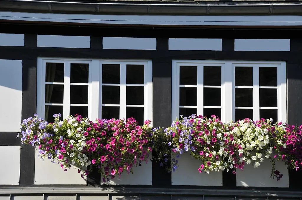Haus Hochstein-1