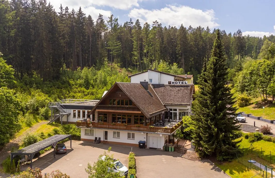 Waldhotel Ehrental-1