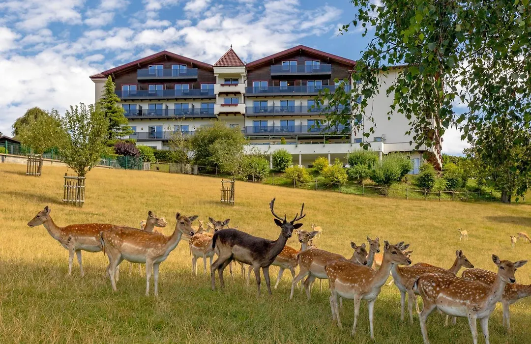 Natur- und Wohlfühlhotel Kastenholz-1