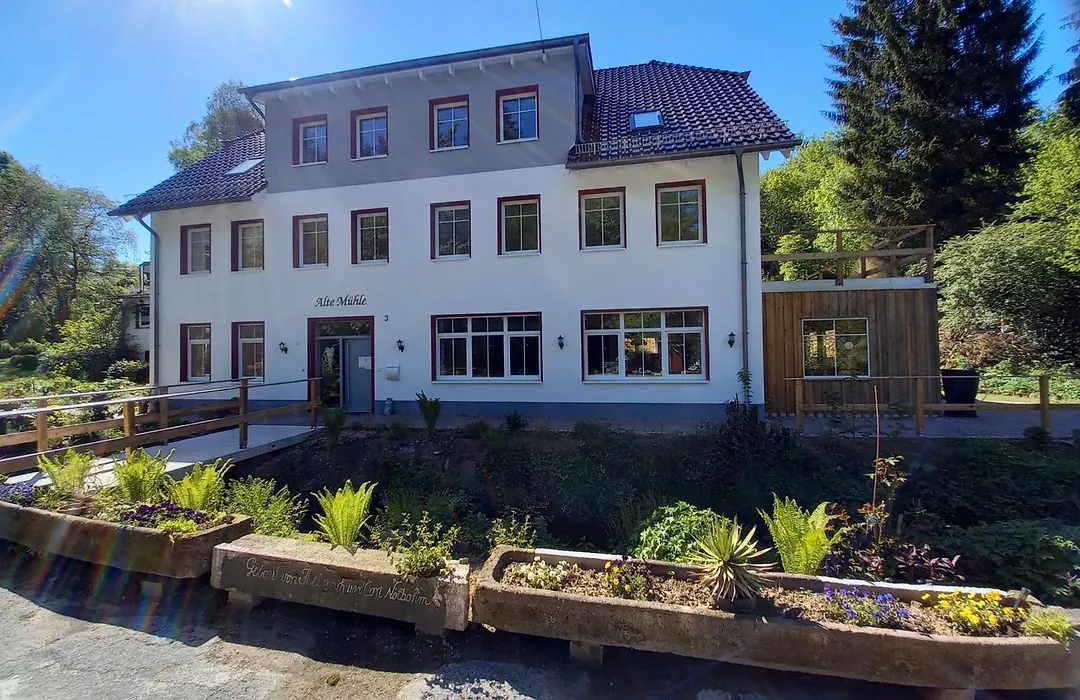 Alte Mühle-1