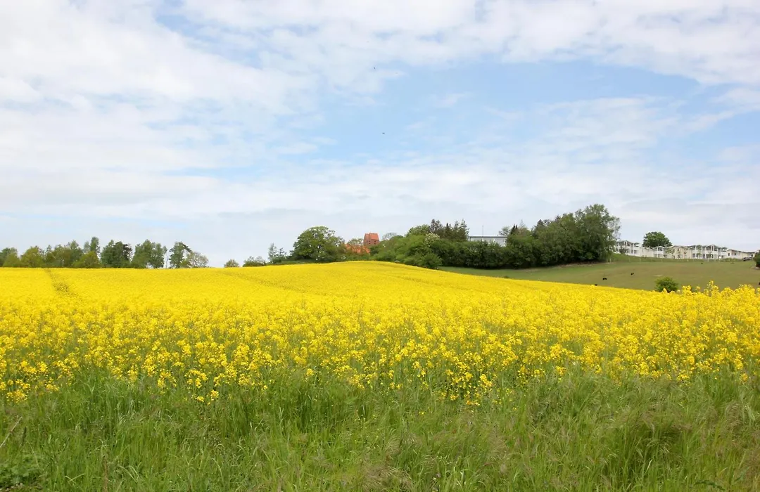 Villa Karola FeWo 15 mit gratis Nutzung vom AHOI Erlebnisbad und Sauna in Sellin-1