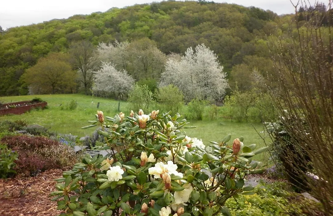 Land des Friedens in Nettersheim / Eifel-1