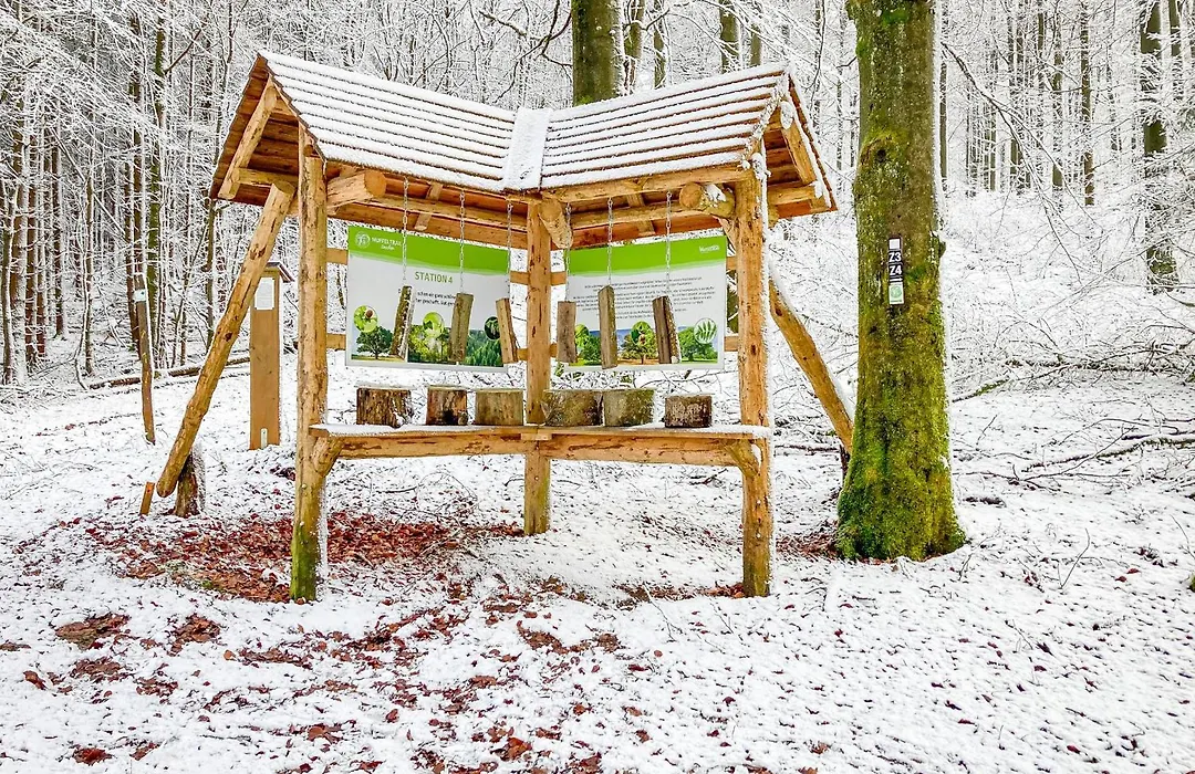 Alte Schule Züschen-Winterberg-1