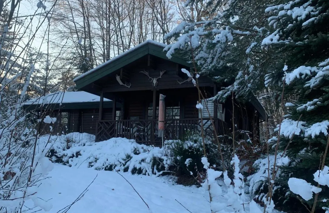Blockhaus am Twistesee mit 3 Schlafzimmern-1