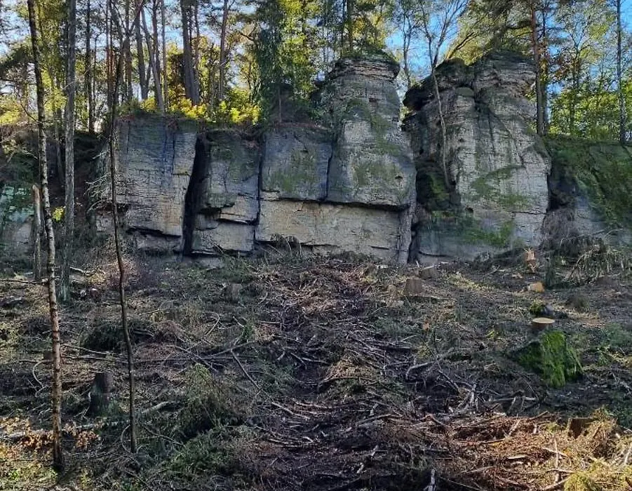 Alte Schäferei Bad Gottleuba-1