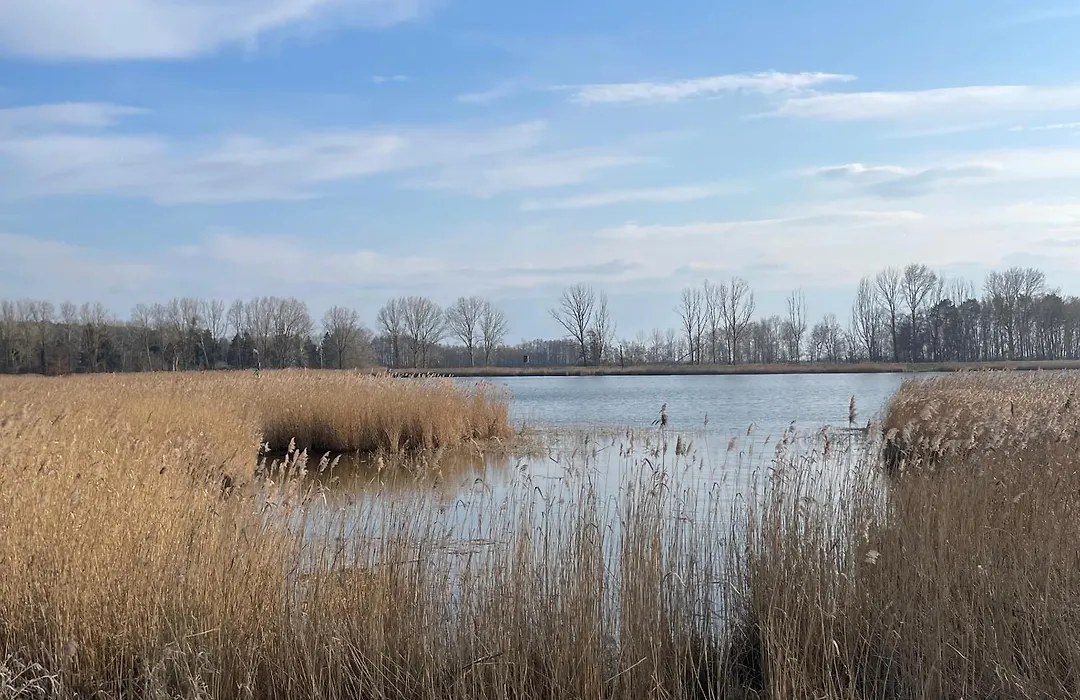 Ferienidyll Bartling Haus Vineta WG7 in Zempin !keine Extrakosten!-1