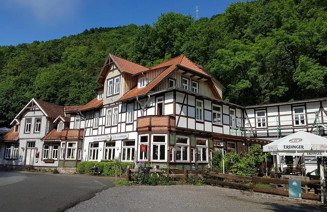Hotel Zur Luppbode-1
