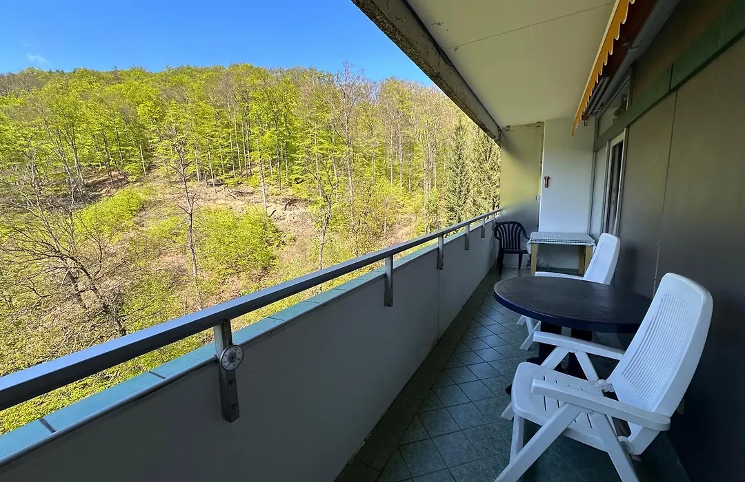 Waldblick - Bad Harzburg-1