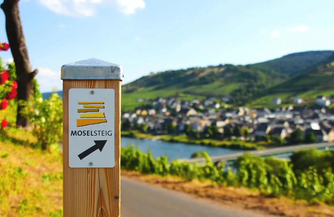 Weingut Mathy-Schanz-1