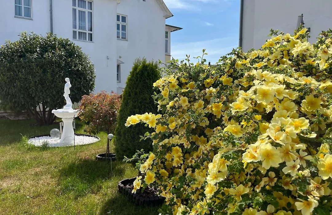 Pension Mittag-1