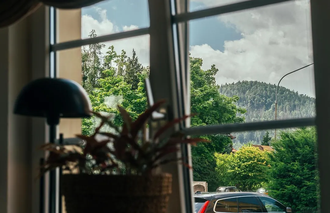 Ferienwohnung 60er Jahre Design Apartment - 65qm Fewo im Zittauer Gebirge - familienfreundliche Unterkunft am Bergfuß zum Töpfer-1