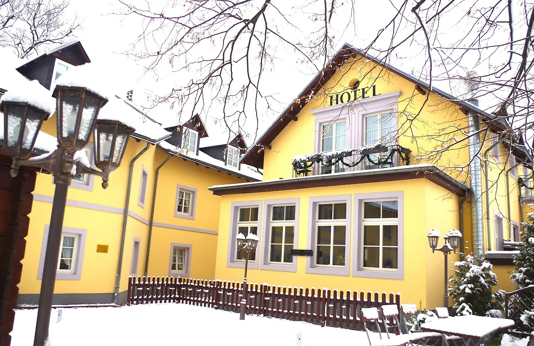 Hotel Alttolkewitzer Hof-1