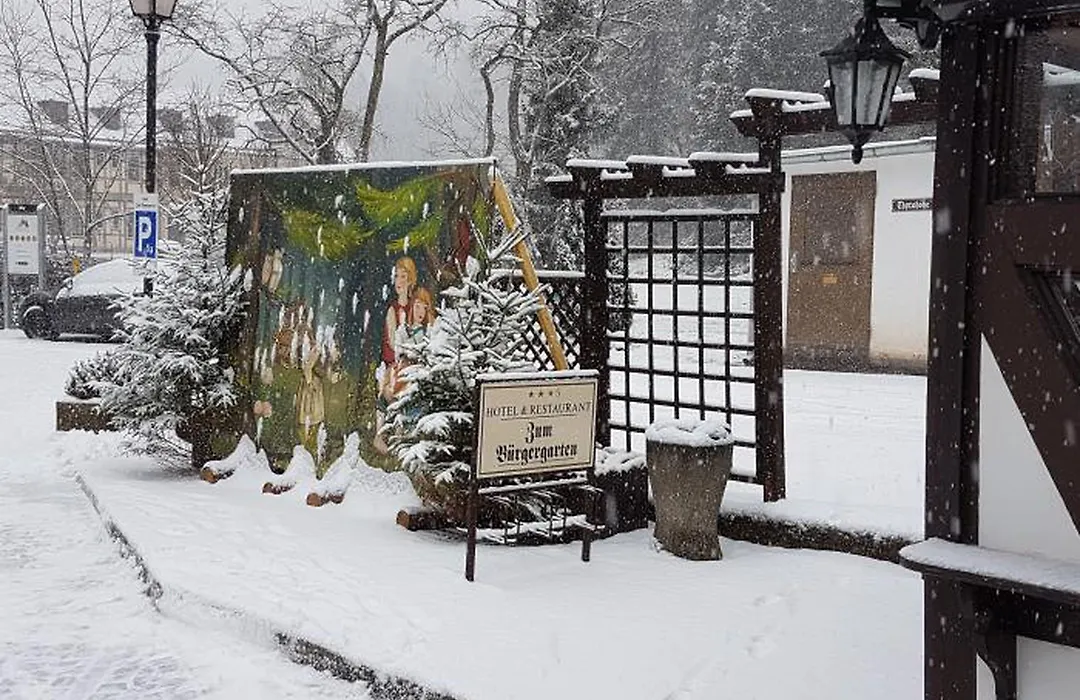 Hotel Zum Buergergarten-1