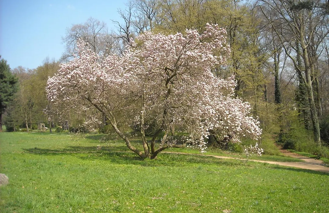 Hotel Schloss Eckberg-1