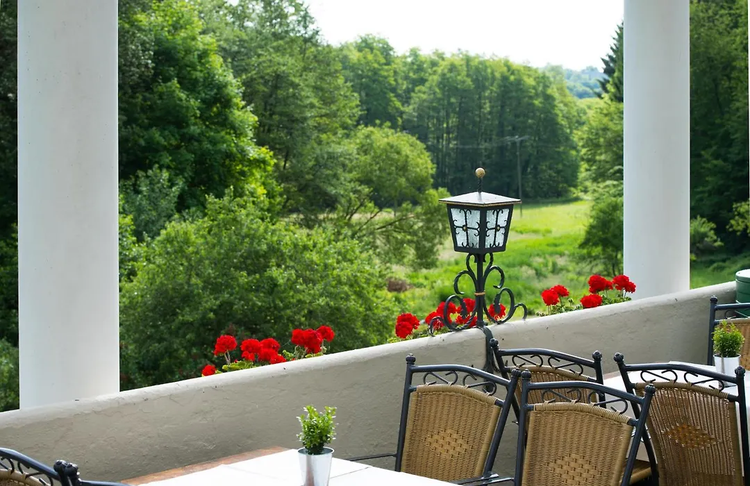 Akzent Waldhotel Rheingau-1