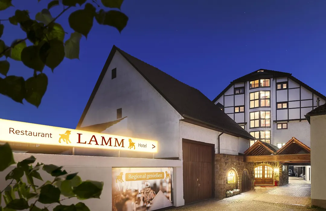 Hotel Lamm-1