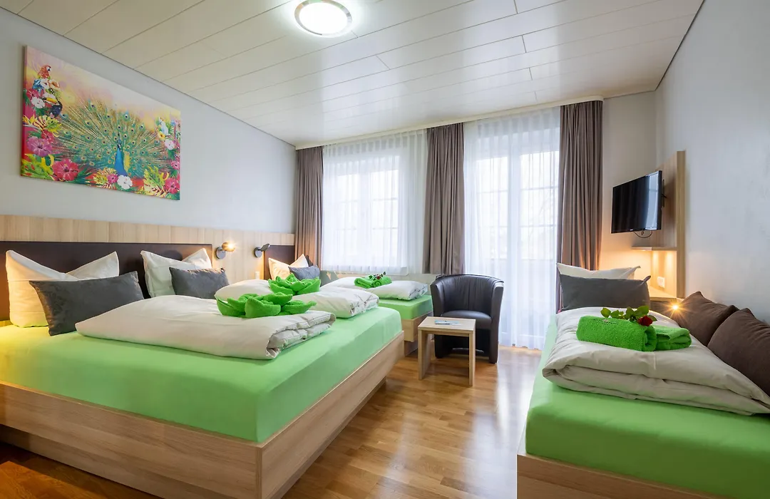Hotel Seerose Lindau Bodensee-1