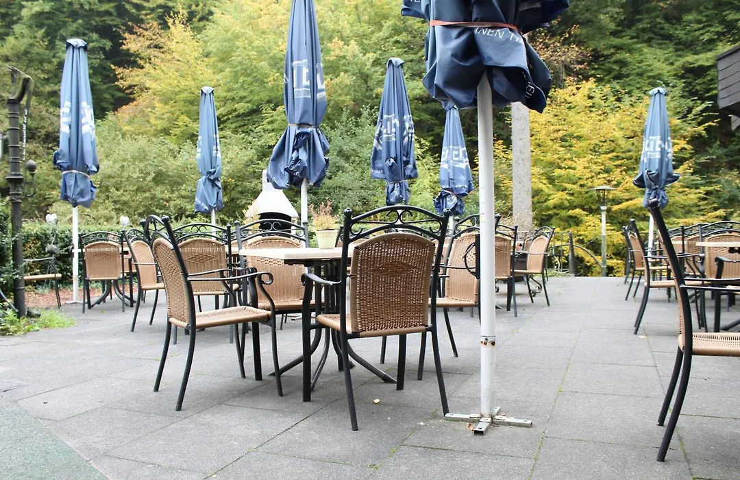 Moselromantik Hotel Weissmühle-1