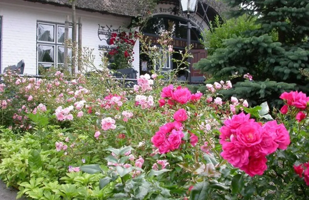 Hotel Historischer Krug-1