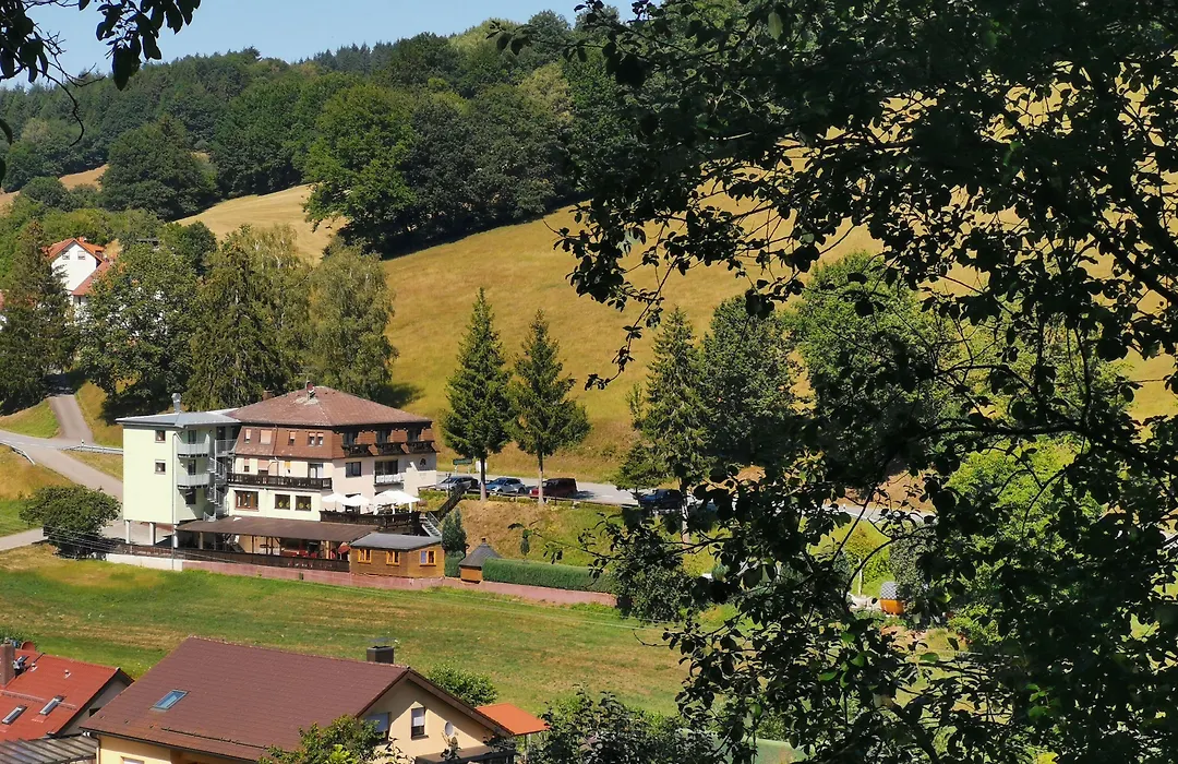 Hotel Grüner Baum mit Restaurant&Wellness-1
