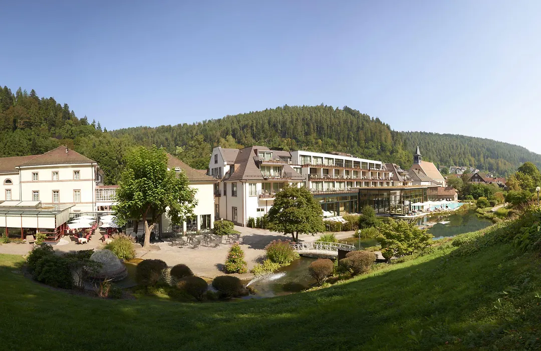 Hotel Therme Bad Teinach-1