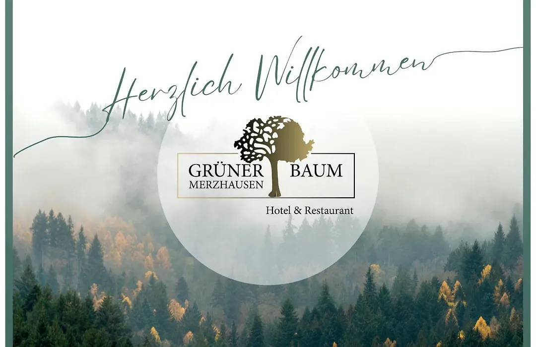 Hotel&Restaurant Grüner Baum Merzhausen-1