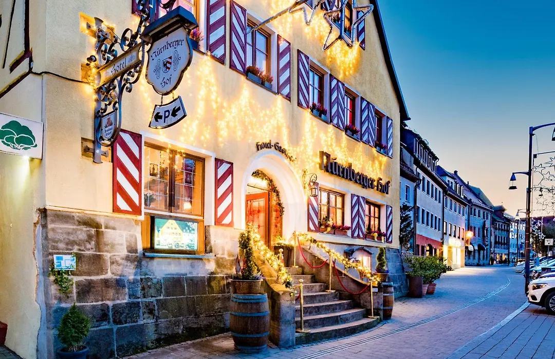 Hotel Nürnberger Hof in Altdorf-1