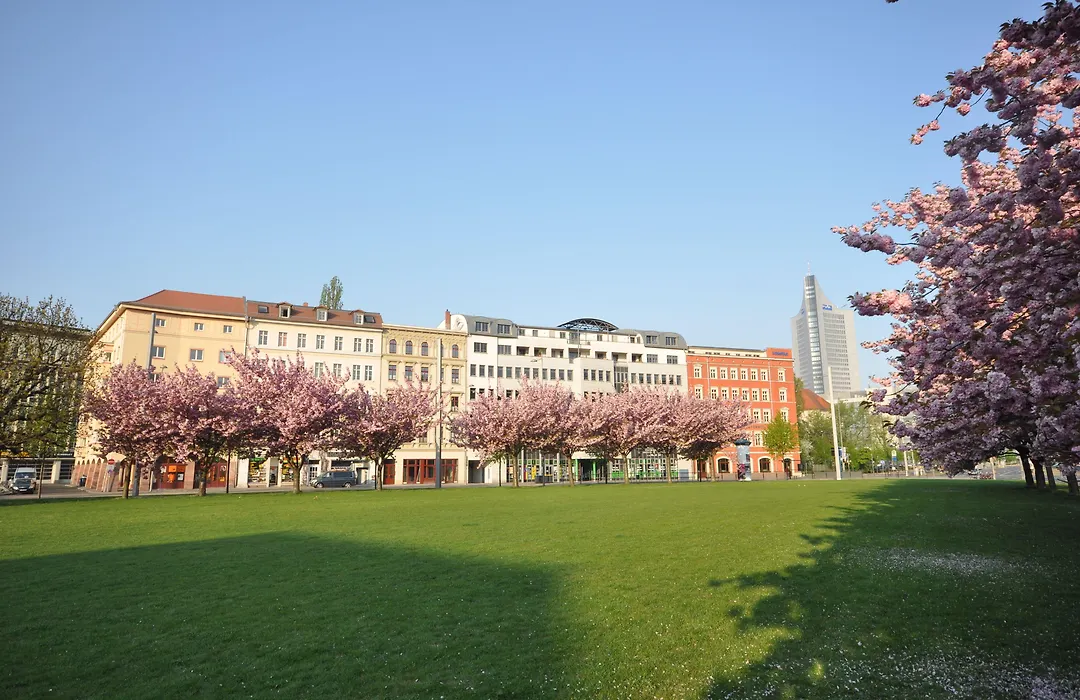 City Park Boardinghouse - #25-30 - Freundliche Apartments, wahlweise mit Frühstück, im Zentrum-1
