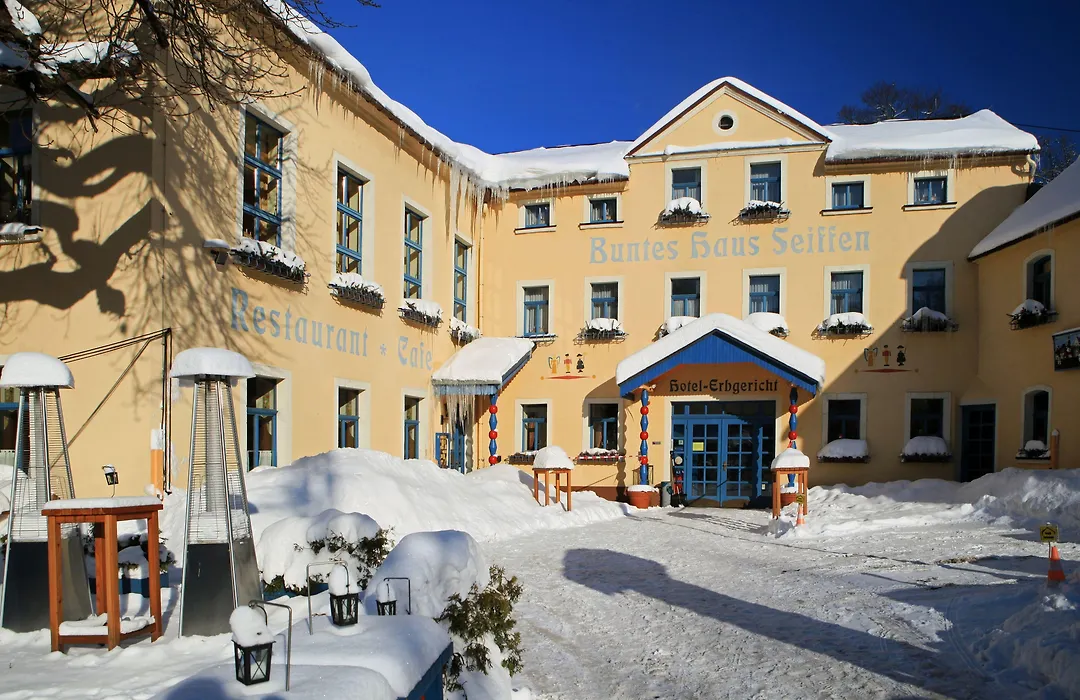Hotel Erbgericht Buntes Haus-1
