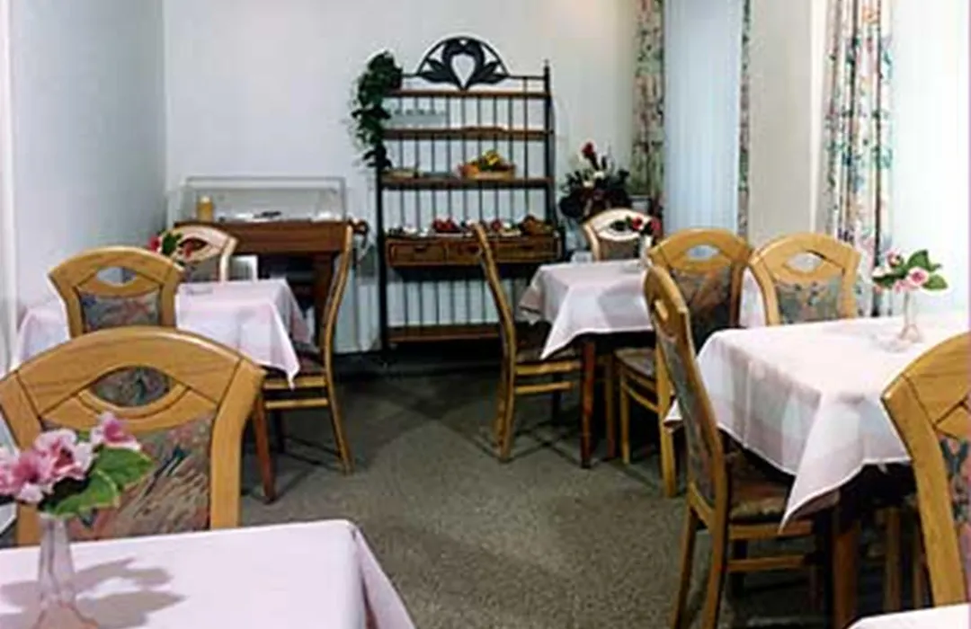 Drei Schweizer Hotel-1