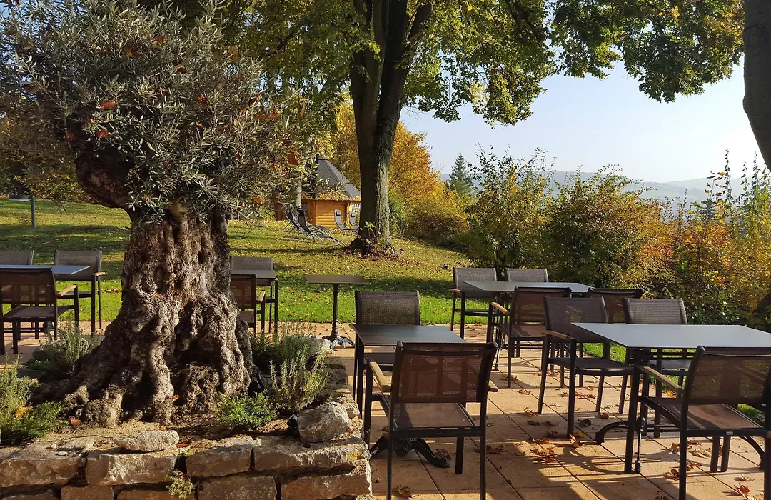 AKZENT Vitalhotel König-1