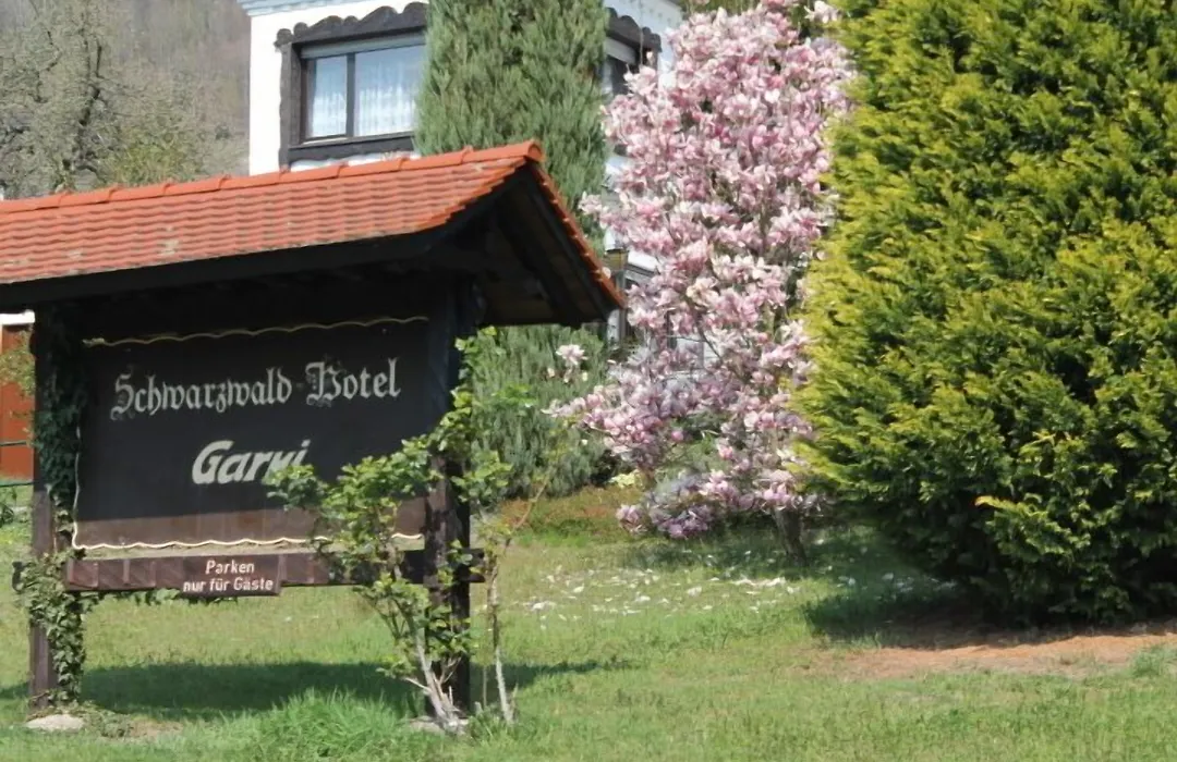 Schwarzwaldhotel / Wolfach-1