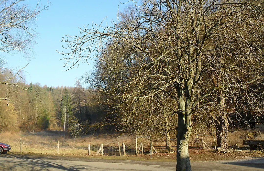 Hotel Badstube-1