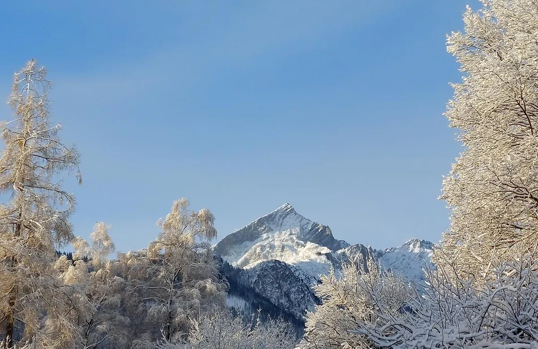 BSW Ferienwohnungen Garmisch-1