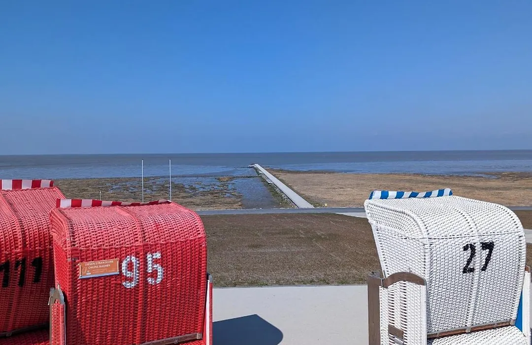 Grüne Düne Meerblick-1