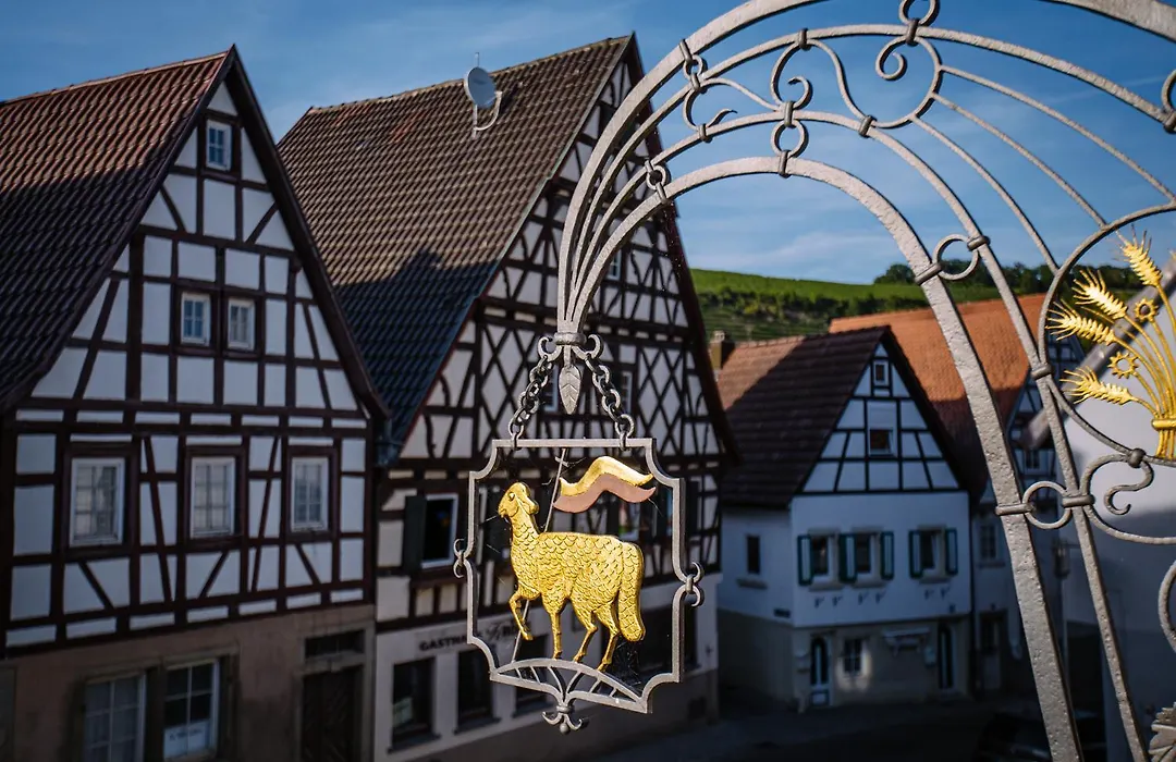 Hotel Restaurant Lamm Rosswag-1
