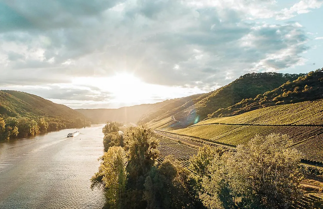 Mosel Chalets - Design-Ferienhäuser in Pommern - Direkt am Weinberg-1