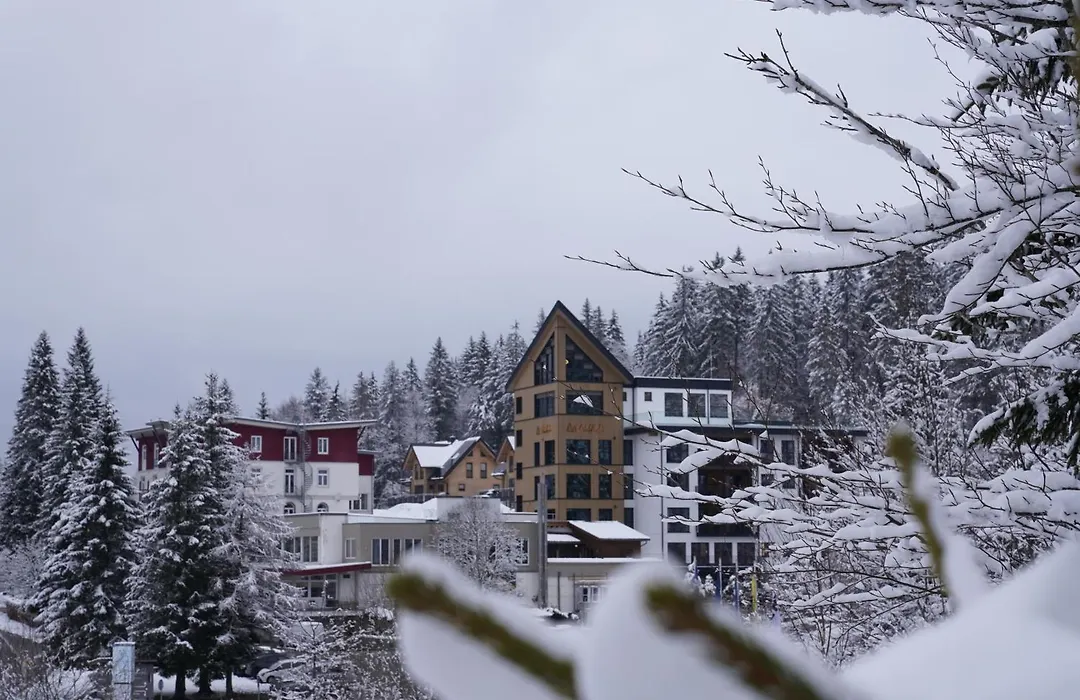 Das Waldhotel - Genuss&Wellness am Notschreipass-1