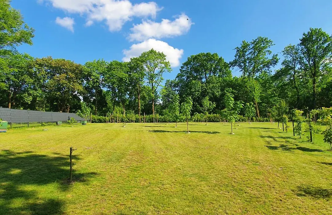 Lüneburger Heide - Ferienwohnung am Höpen-1