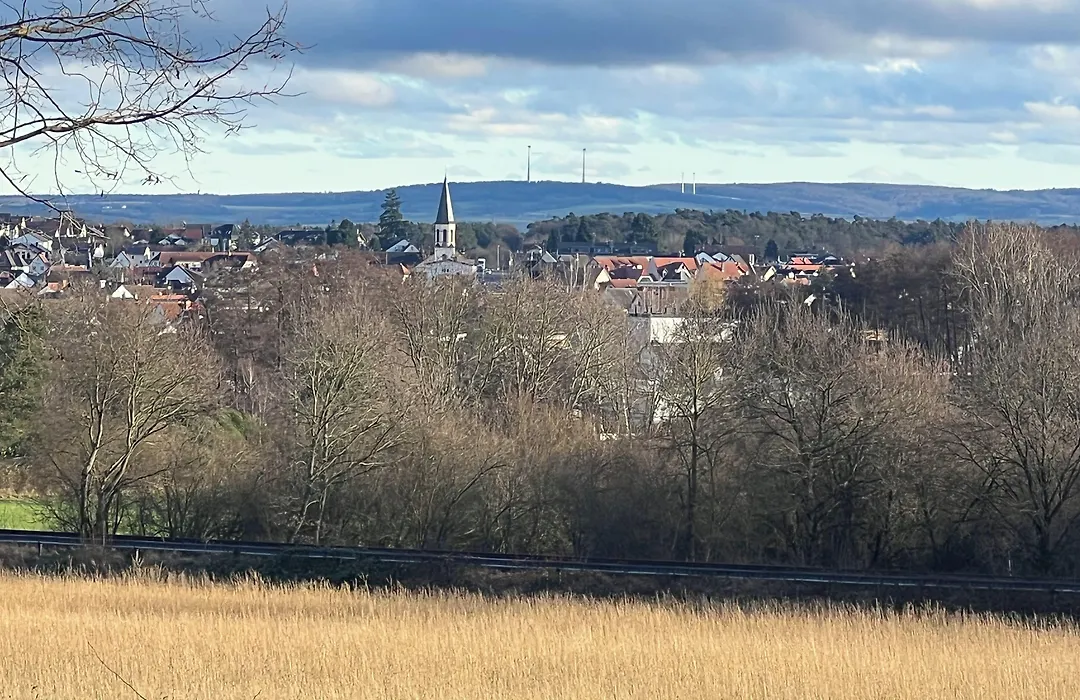 Hotel Odenwaldblick-1