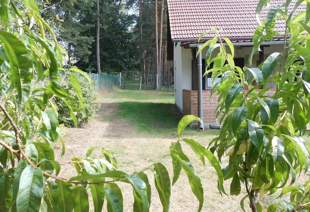 Wald&Wiesengeflüster Zechlinerhütte-1